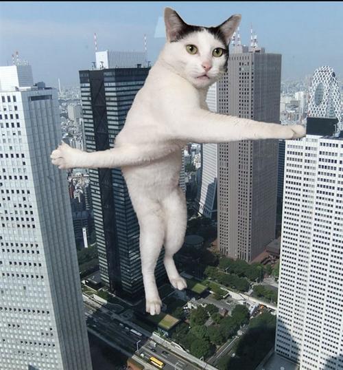 天天爆笑笑话-----《新兵操练》