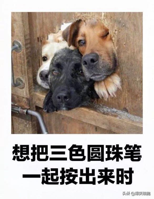 运行“丈夫1.0”