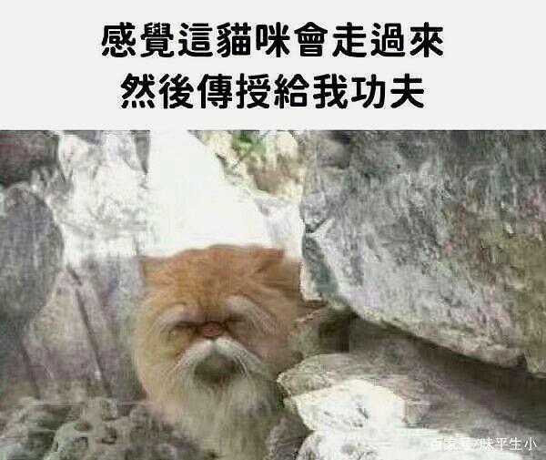 解决CPU散热的最佳方案