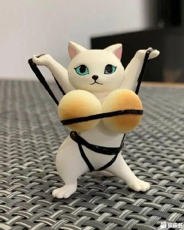 模特儿的经纪人