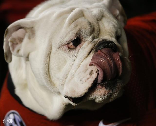 秃头的主要原因